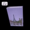 Kutija knjiga Pariz